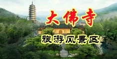 高清大屌狂插夜总会小姐中国浙江-新昌大佛寺旅游风景区